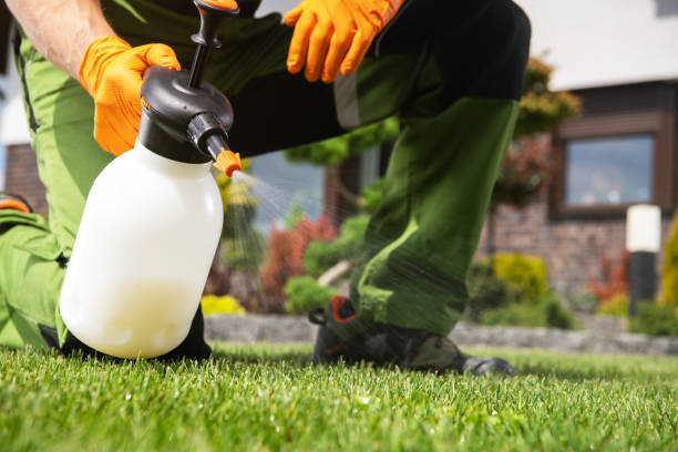 Best Rodent Control Near Me  in Tichigan, WI