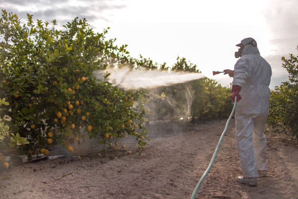 Best Best Pest Control Companies  in Tichigan, WI