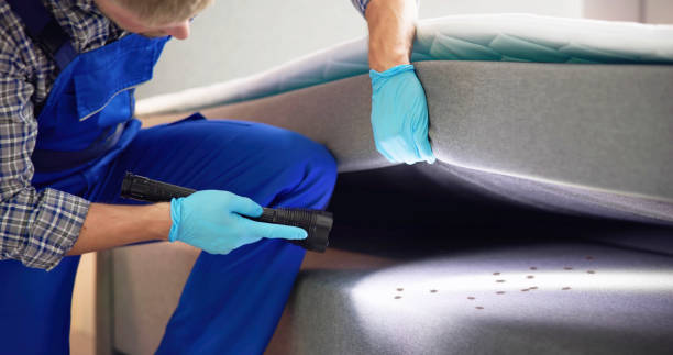 Professional Pest Control in Tichigan, WI