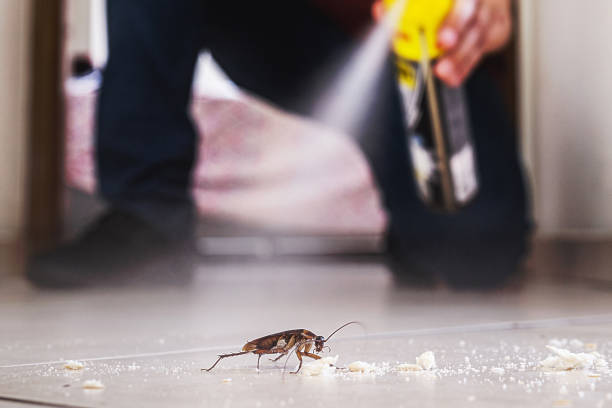 Flea Control Services in Tichigan, WI