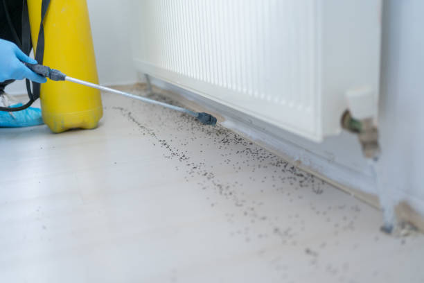 Best Best Pest Control Companies  in Tichigan, WI