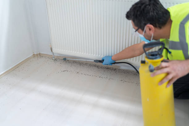 Best Pest Inspection Near Me  in Tichigan, WI