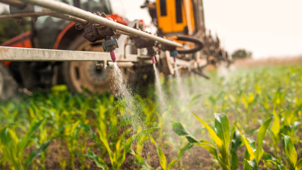 Best Commercial Pest Control Services  in Tichigan, WI